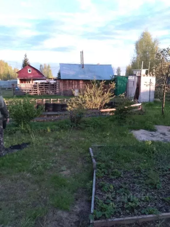 Участок в Нижегородская область, Дзержинск Лесное садовое ... - Фото 1