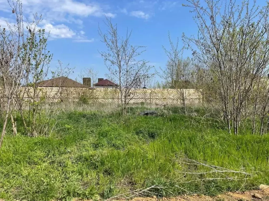 Участок в Ростовская область, Мясниковский район, Красный Крым хут. ... - Фото 1