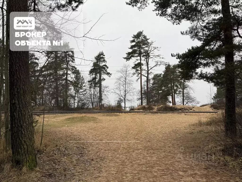 Участок в Санкт-Петербург, Санкт-Петербург, Сестрорецк Купальный пер. ... - Фото 2