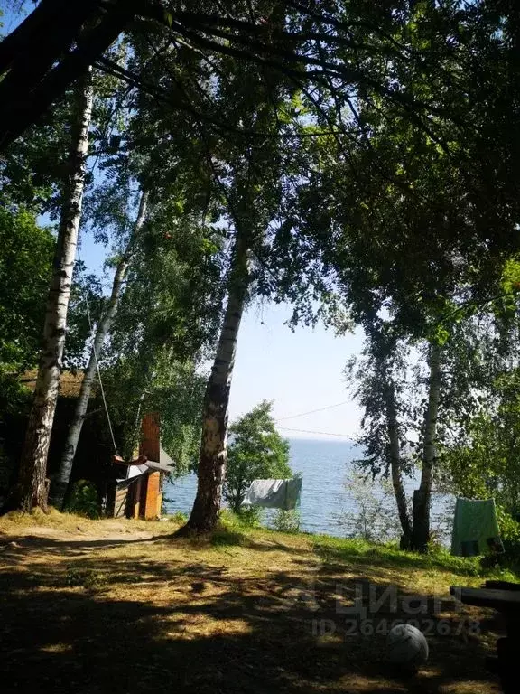 Дом в Нижегородская область, Чкаловск городской округ, д. Кулаево 28 ... - Фото 1