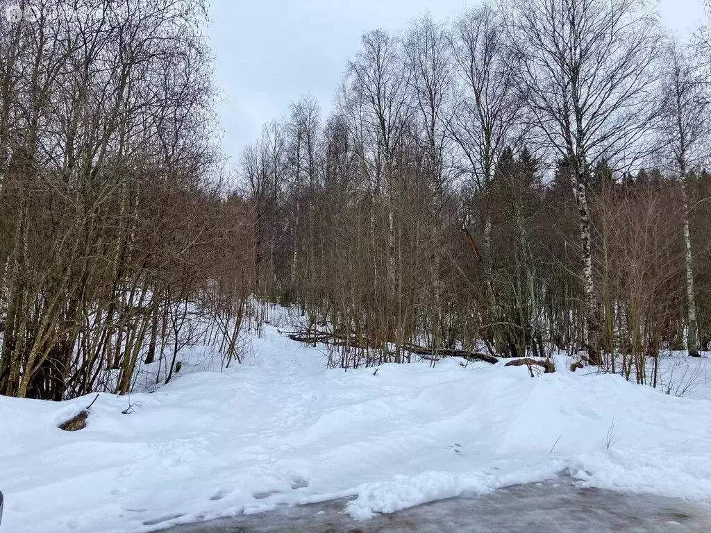 Участок в Ленинградская область, Подпорожье (12 м) - Фото 1