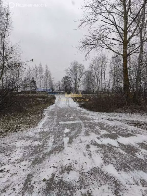 Участок в Казань, улица Кул Гали (6.04 м) - Фото 2