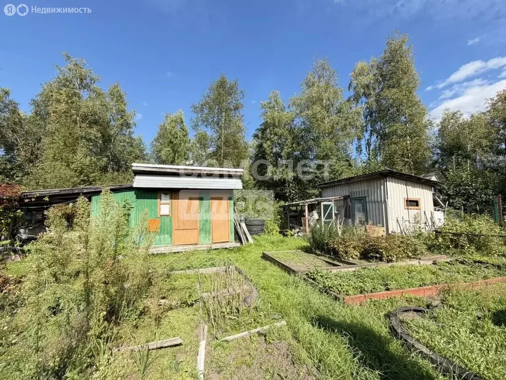 Дом в Орехово-Зуевский городской округ, деревня Халтурино (49 м) - Фото 2