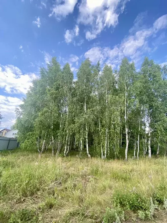 Участок 5 сот. (СНТ, ДНП) - Фото 1