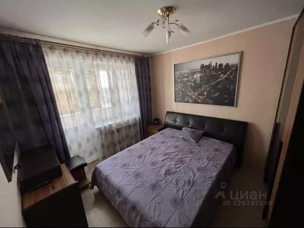 3-к кв. Нижегородская область, Выкса Центральный мкр, 3 (62.5 м) - Фото 2