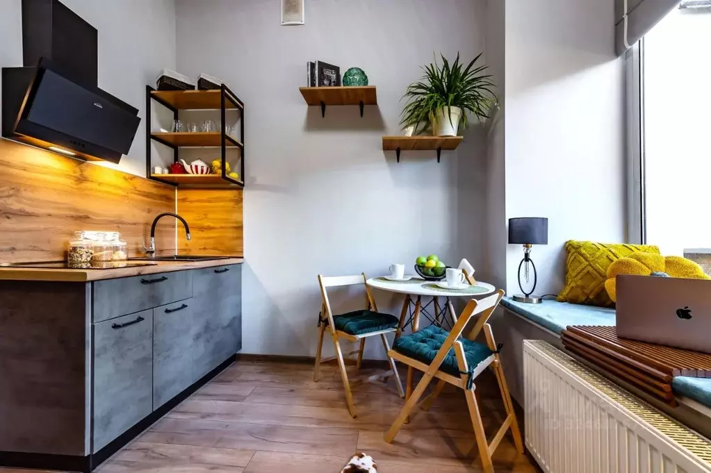 1-к кв. Санкт-Петербург ул. Рубинштейна, 23 (16.0 м) - Фото 2