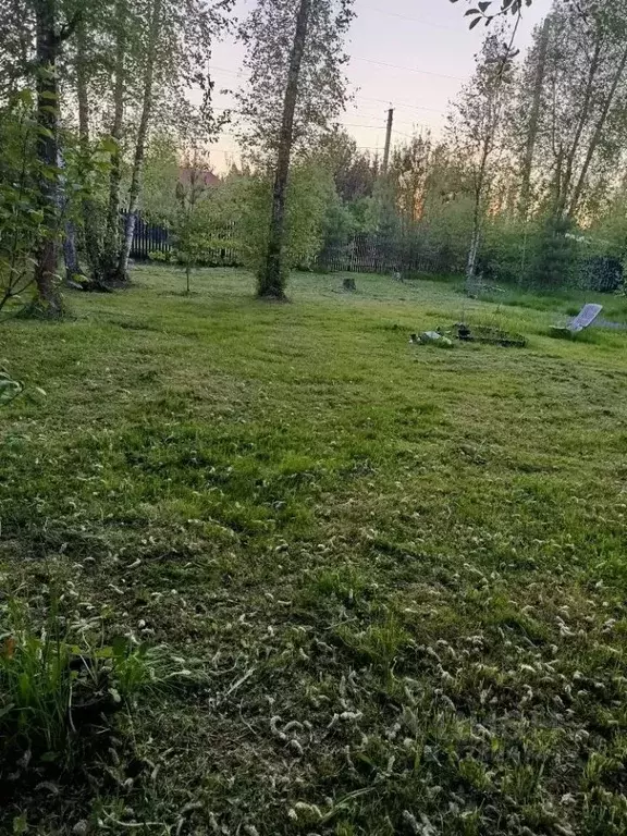 Участок в Московская область, Одинцовский городской округ, Фортуна СНТ ... - Фото 1