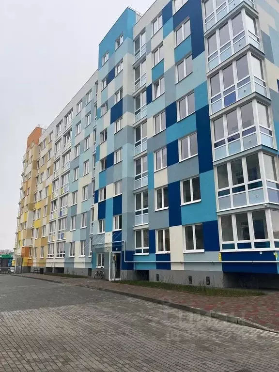 Студия Калининградская область, Светлогорск ул. Молодежная, 17 (25.0 ... - Фото 1