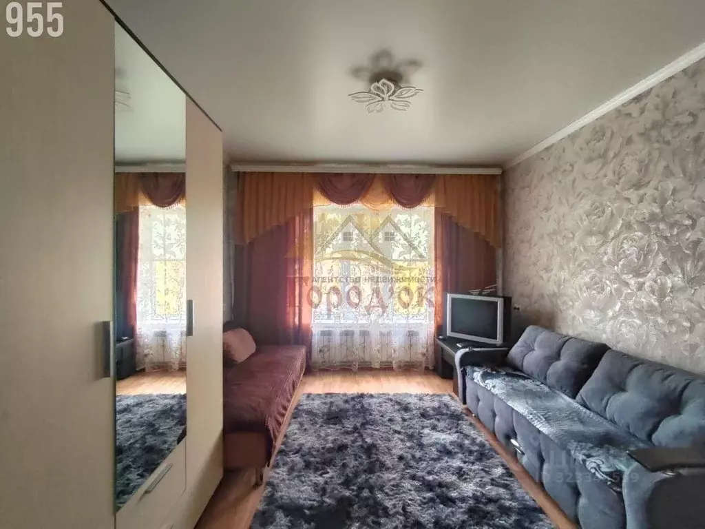 1-к кв. Воронежская область, Борисоглебск Пролетарская ул. (29.1 м) - Фото 2