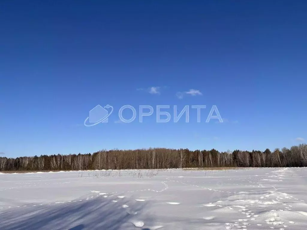 Участок в Тюменская область, Тюменский район, д. Посохова  (6.3 сот.) - Фото 1