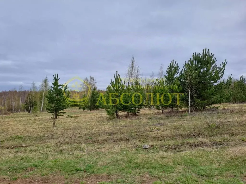 Участок в Свердловская область, Дегтярск Проезжая ул. (12.0 сот.) - Фото 0
