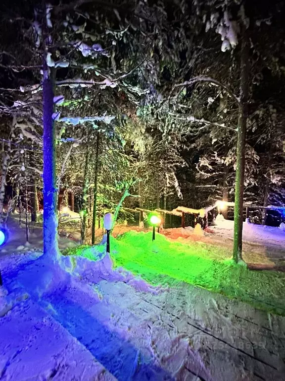 Участок в Мурманская область, Кольский район, Тулома с/пос, Лотта ДНП  ... - Фото 2