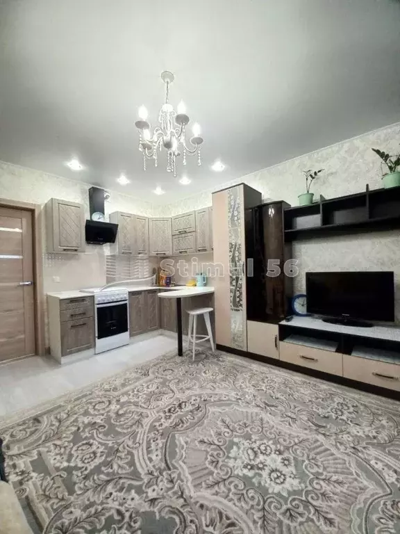 Студия Оренбургская область, Оренбург Транспортная ул., 16/1 (27.0 м) - Фото 1