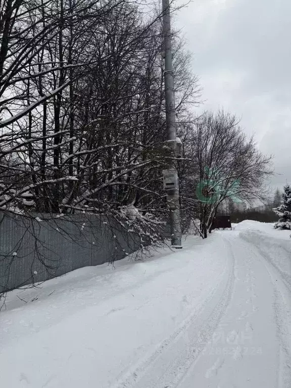Участок в Московская область, Пушкинский городской округ, с. ... - Фото 2