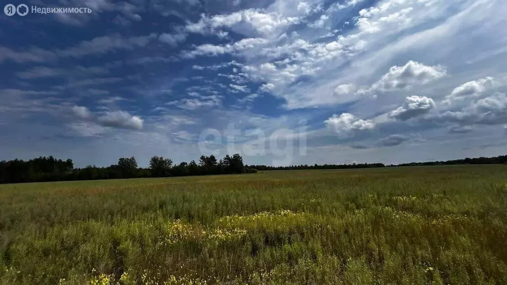 Участок в Амурская область, село Ивановка (134000 м) - Фото 1