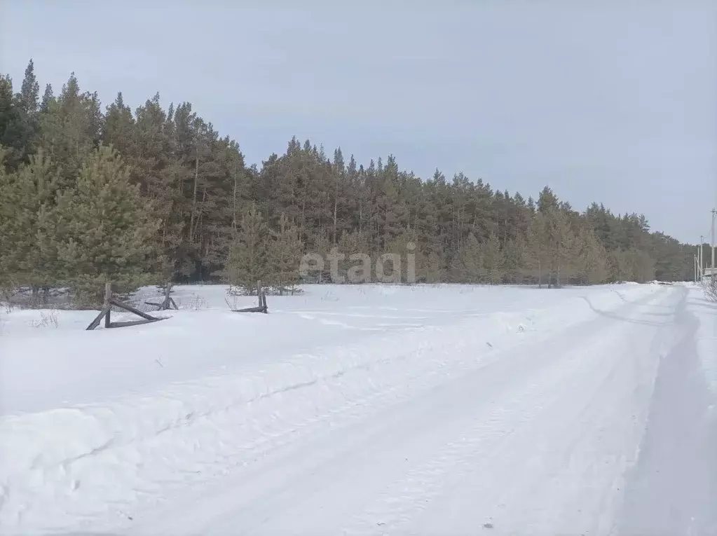 Участок в Курганская область, Притобольный муниципальный округ, д. ... - Фото 0