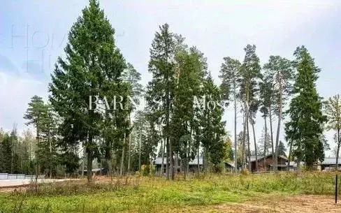 Участок в Московская область, Одинцовский городской округ, д. Шульгино ... - Фото 1