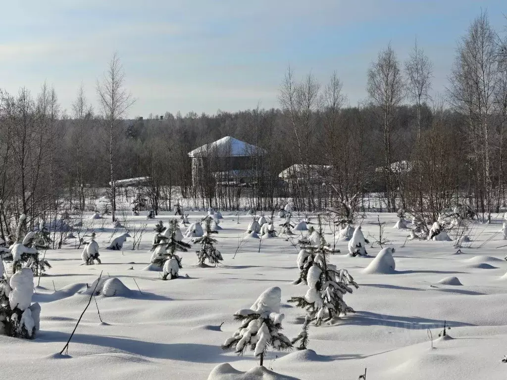 Участок в Московская область, Руза  (9.06 сот.) - Фото 1