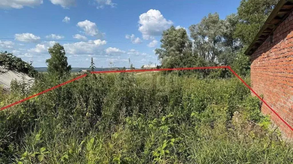 Участок в Башкортостан, Бирский район, Старопетровский сельсовет, с. ... - Фото 1