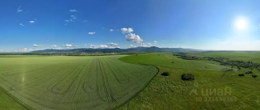 Участок в Алтайский край, Белокуриха Успенская ул., 28 (600.0 сот.) - Фото 1