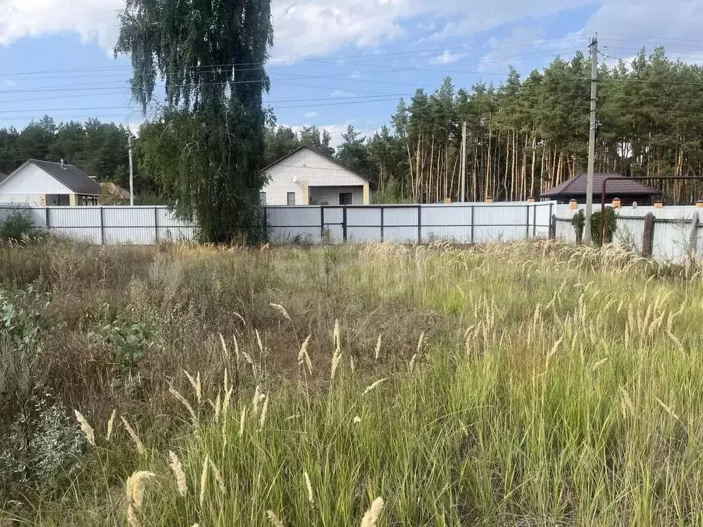 Участок в Саратовская область, Балашовский район, с. Репное  (11.0 ... - Фото 1