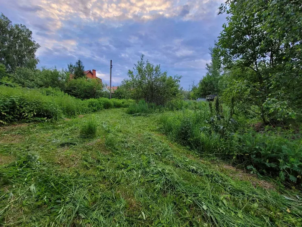 Участок в Московская область, Раменский городской округ, д. Малое ... - Фото 0