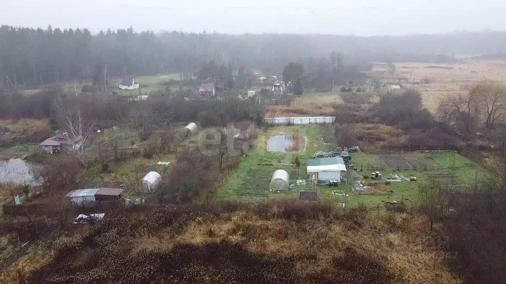 Участок в Калининградская область, Гурьевский муниципальный округ, ... - Фото 2