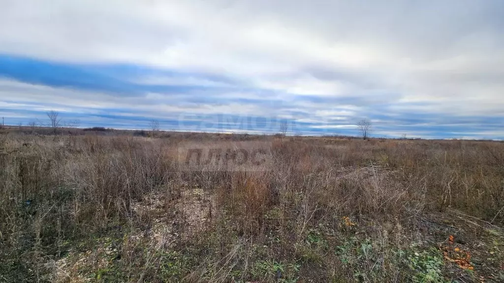 Участок в Оренбургская область, Оренбургский район, Южноуральский ... - Фото 1