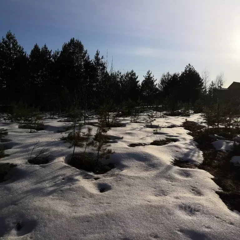 Участок в Калужская область, Дзержинский район, с. Дворцы ул. Лесная, ... - Фото 2