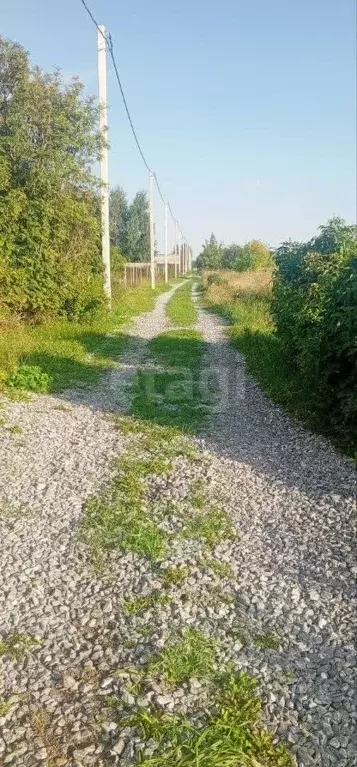 Участок в Новосибирская область, Бердск Яблонька СНТ, 93 (11.98 сот.) - Фото 1