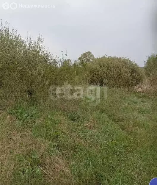 Участок в Тукаевский район, Азьмушкинское сельское поселение, СНТ ... - Фото 2