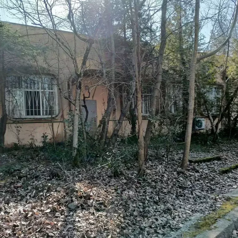 Помещение свободного назначения в Краснодарский край, Сочи городской ... - Фото 1