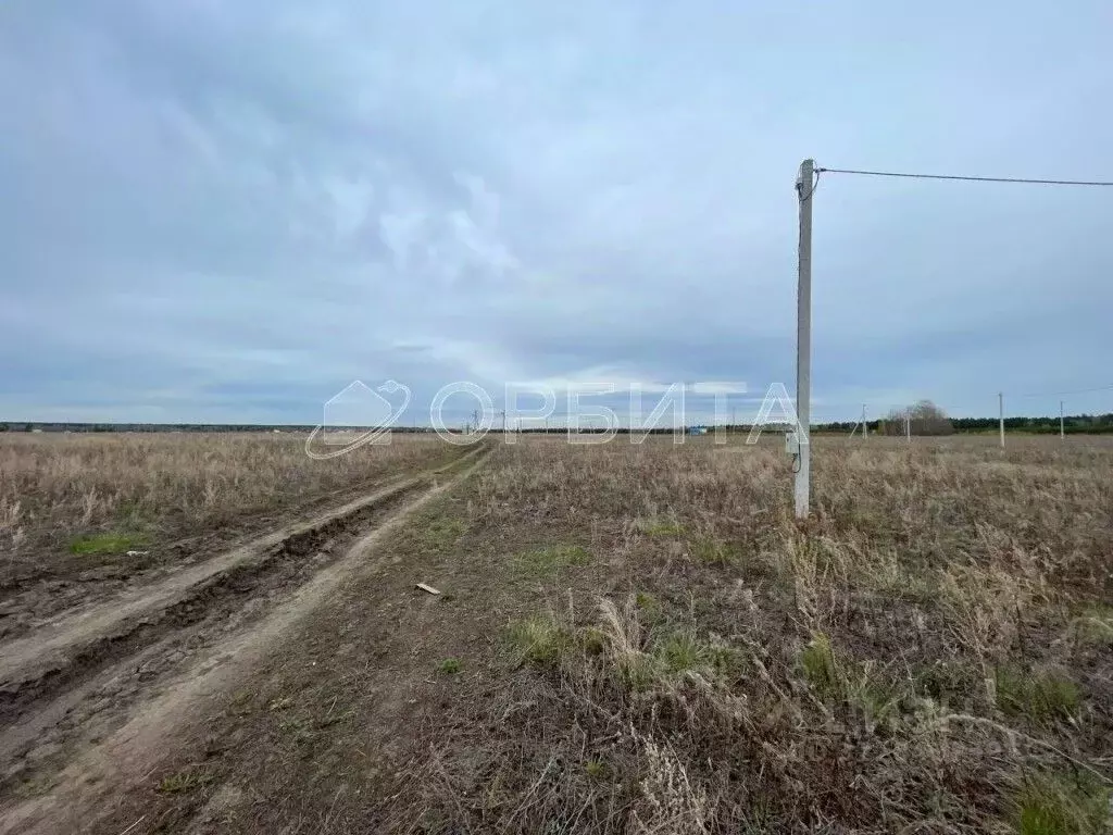 Участок в Тюменская область, Тюменский муниципальный округ, д. ... - Фото 2