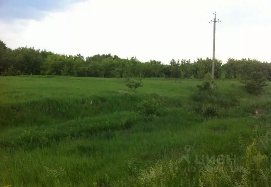 Участок в Самарская область, Кинель городской округ, Алексеевка пгт  ... - Фото 1