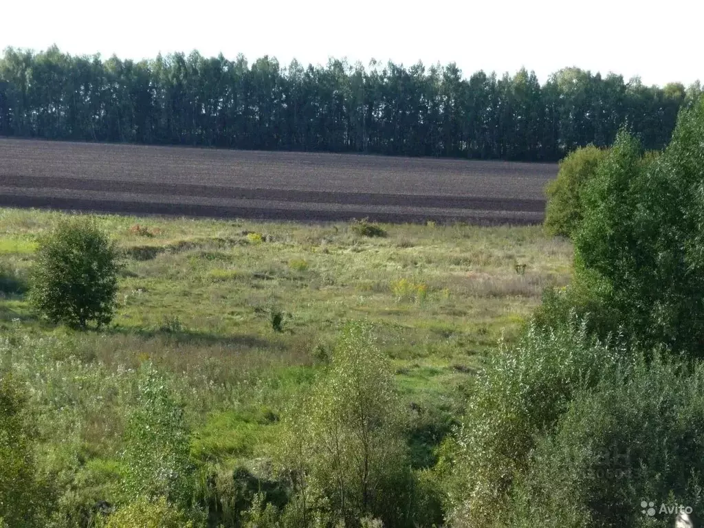 Участок в Тульская область, Киреевский район, Дедиловское с/пос, д. ... - Фото 2