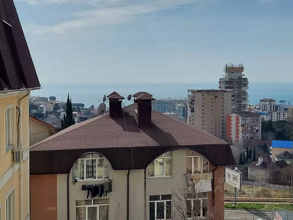 1-к кв. Краснодарский край, Сочи Виноградная ул., 224/8 (35.0 м) - Фото 1