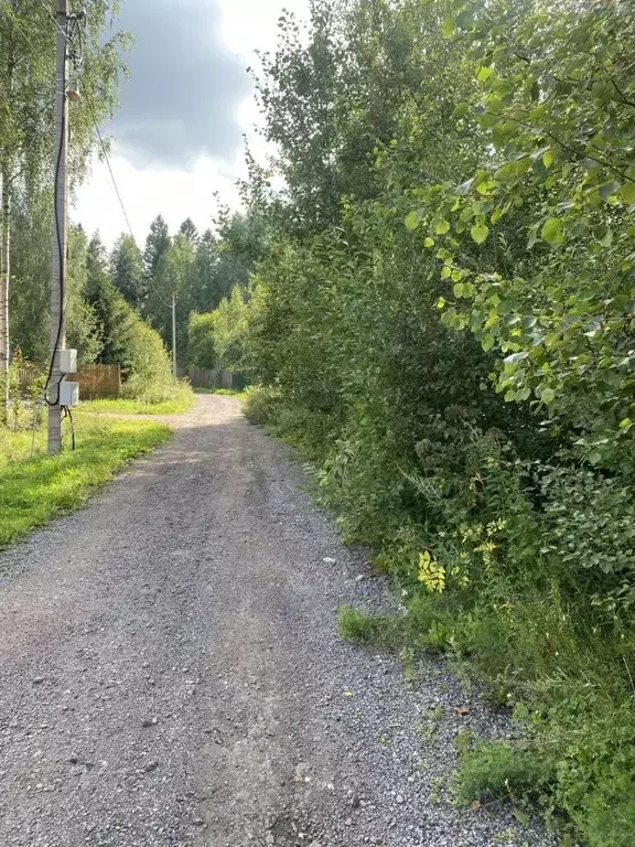 Участок в Ленинградская область, Выборгский район, Советское городское ... - Фото 1