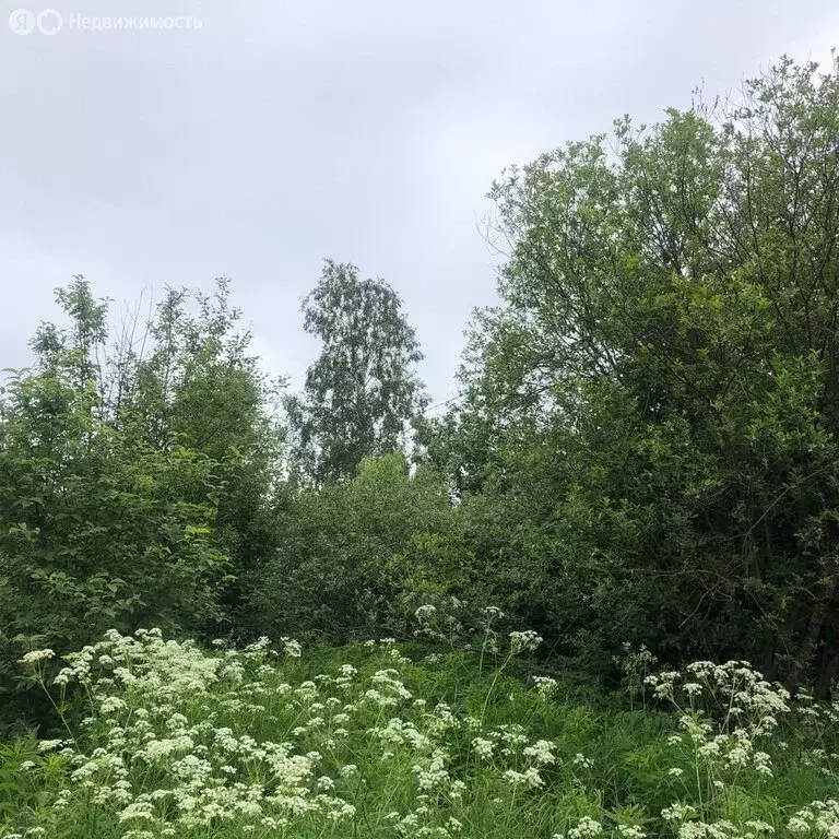 Участок в Вологда, садоводческое товарищество Чайка, 398 (10 м) - Фото 1