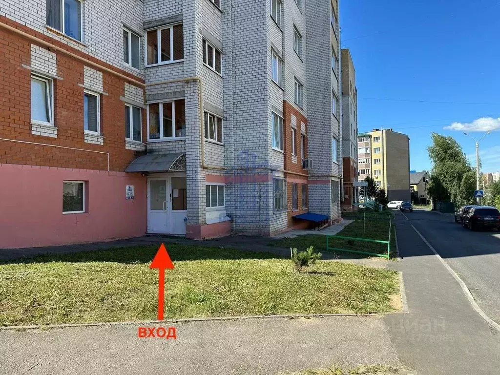 Офис в Чувашия, Чебоксары ул. Строителей, 12 (191 м) - Фото 0