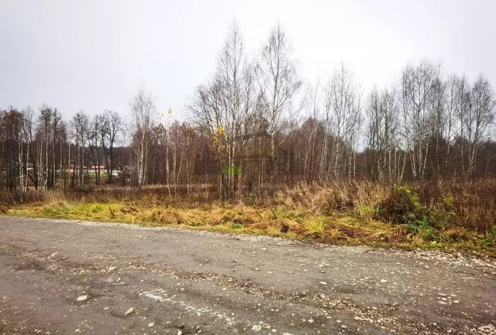 Участок в Калужская область, Боровский муниципальный округ, Кривское ... - Фото 2