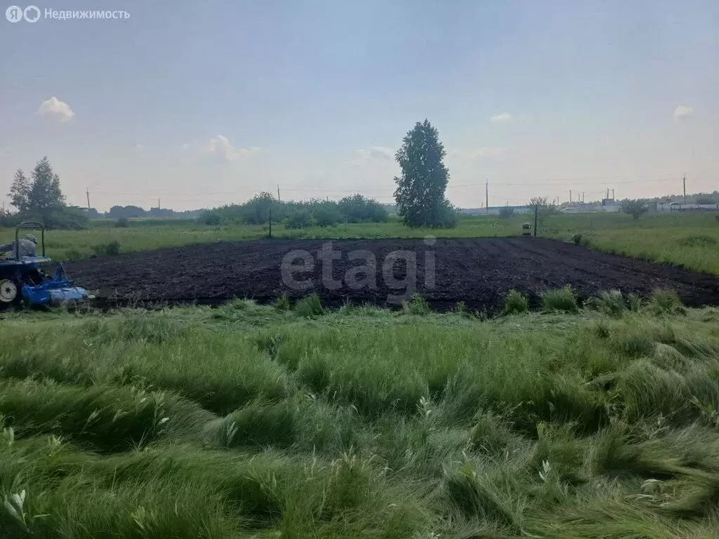 Участок в Криводановский сельсовет, СНТ Ясень (6.5 м) - Фото 1