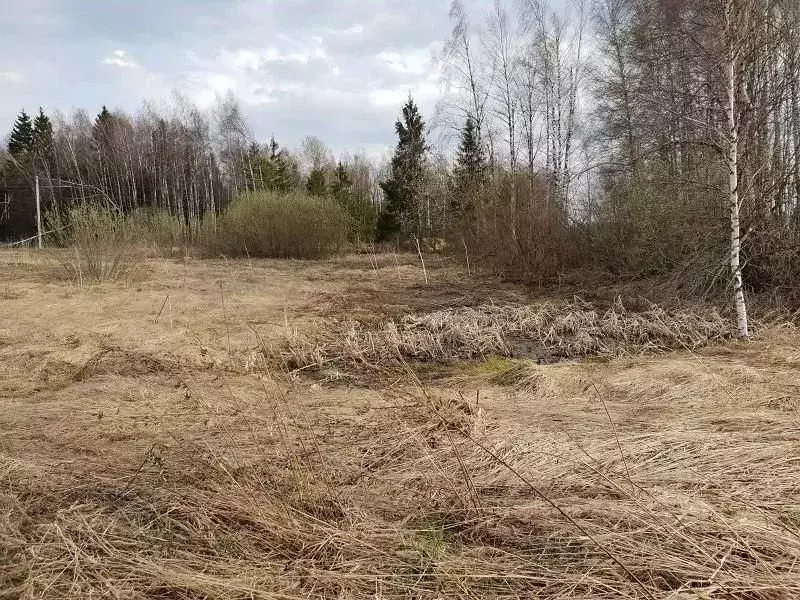 Участок в Московская область, Дмитровский муниципальный округ, д. ... - Фото 2