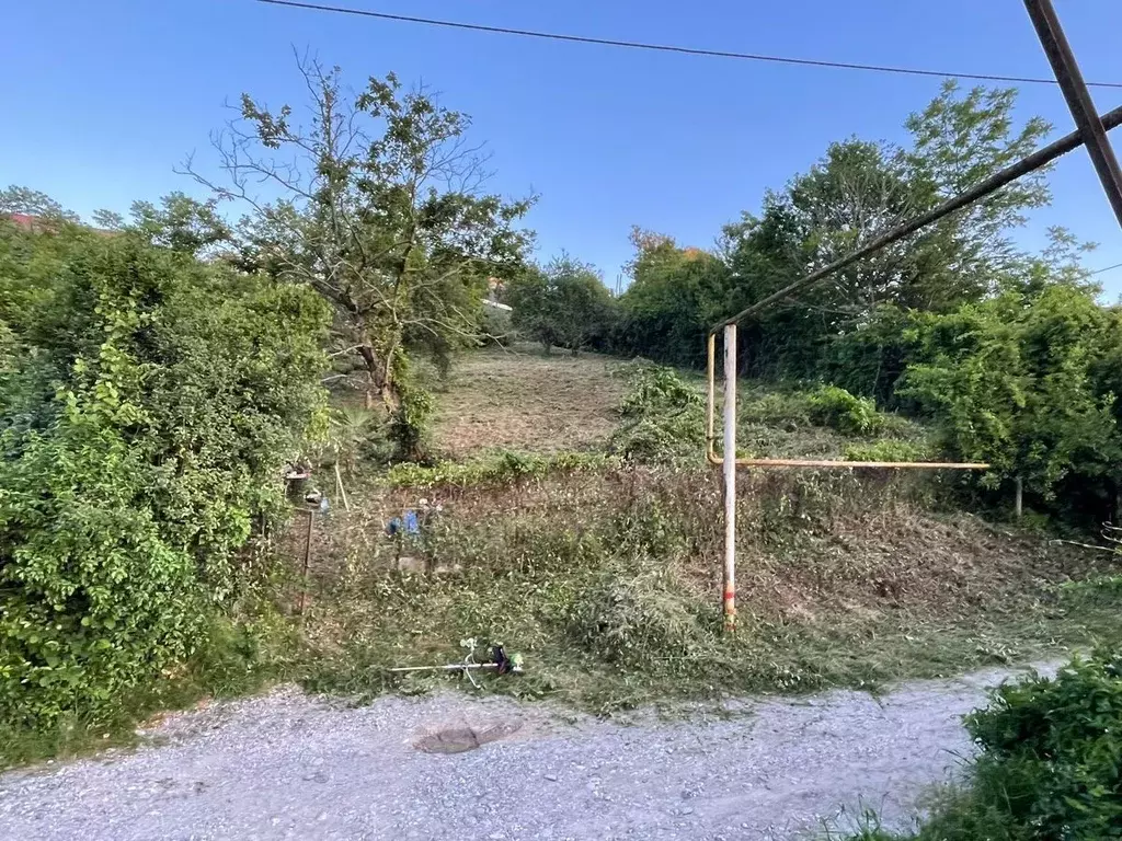 Участок в Краснодарский край, Сочи городской округ, с. Орел-Изумруд ... - Фото 1