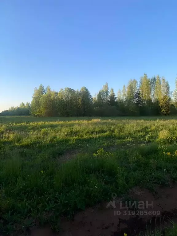 Участок в Новгородская область, Новгородский район, Бронницкое с/пос, ... - Фото 0