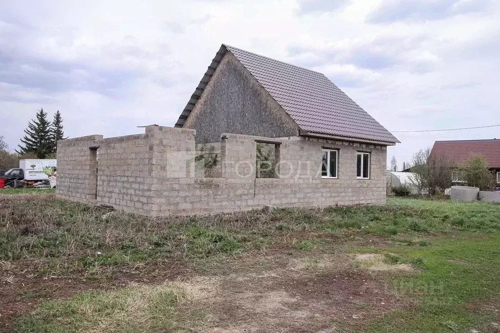 Дом в Алтайский край, Барнаул городской округ, пос. Новомихайловка ул. ... - Фото 2