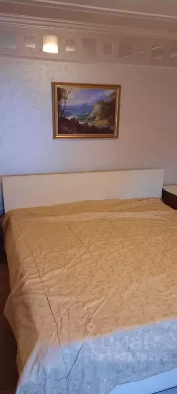 1-к кв. Московская область, Балашиха Щитниково кв-л, 123 (35.0 м) - Фото 1