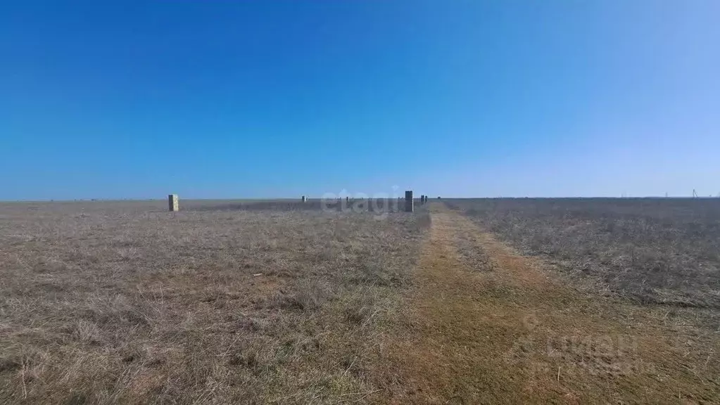 Участок в Крым, Сакский район, Молочненское с/пос, с. Витино  (6.0 ... - Фото 1