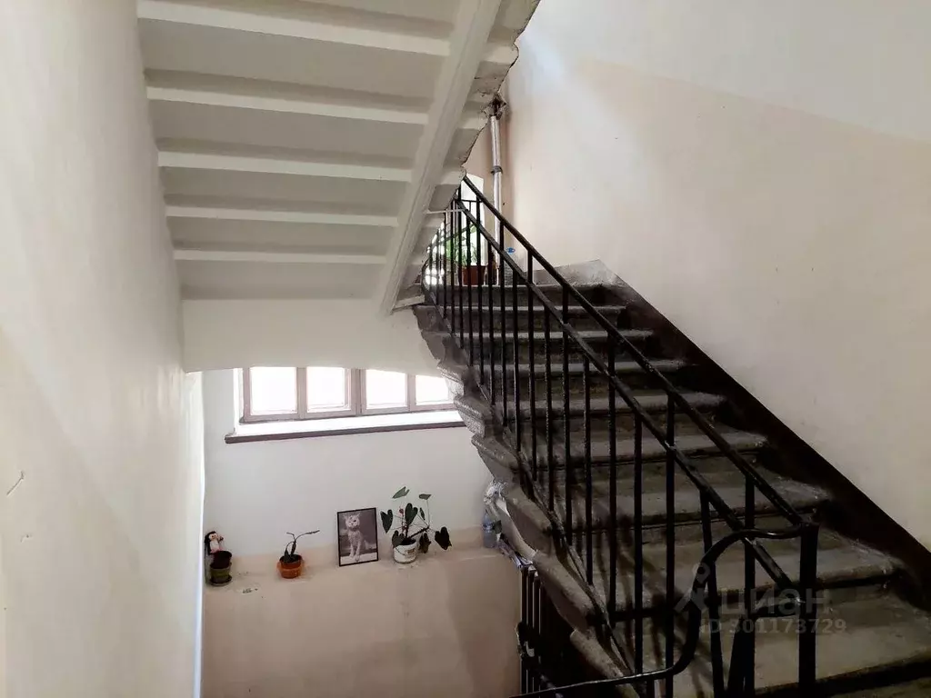 Комната Санкт-Петербург ул. Ломоносова, 24 (38.0 м) - Фото 1