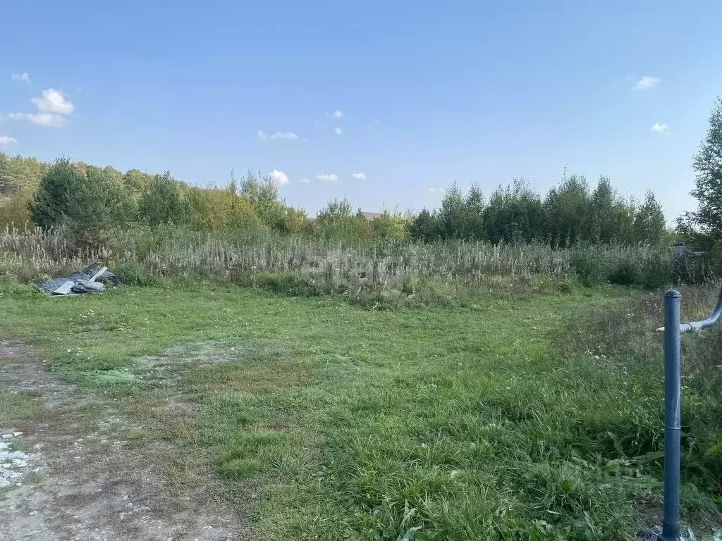 Участок в Свердловская область, Белоярский городской округ, д. Гусева ... - Фото 0