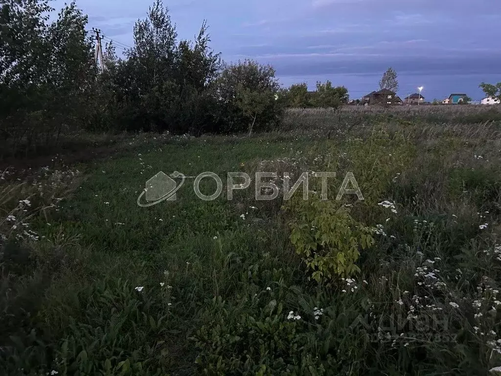 Участок в Тюменская область, Нижнетавдинский муниципальный округ, ... - Фото 2